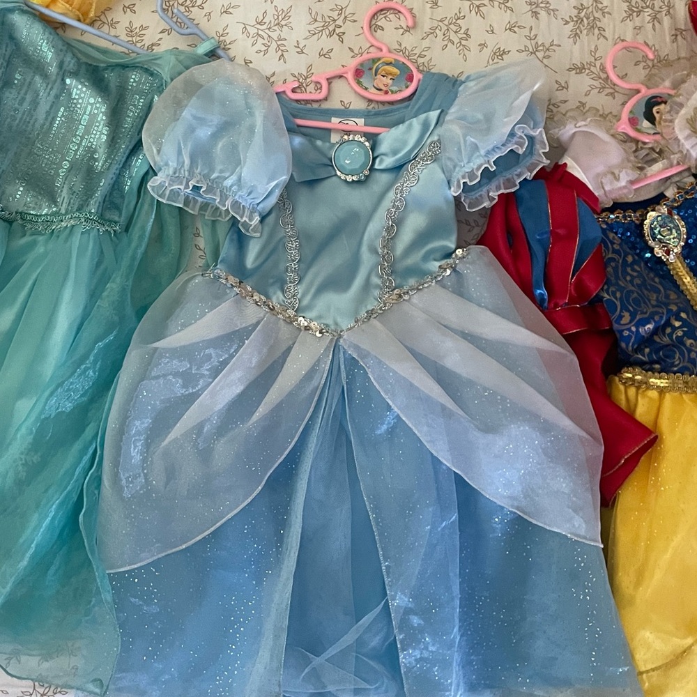 Cinderella dress